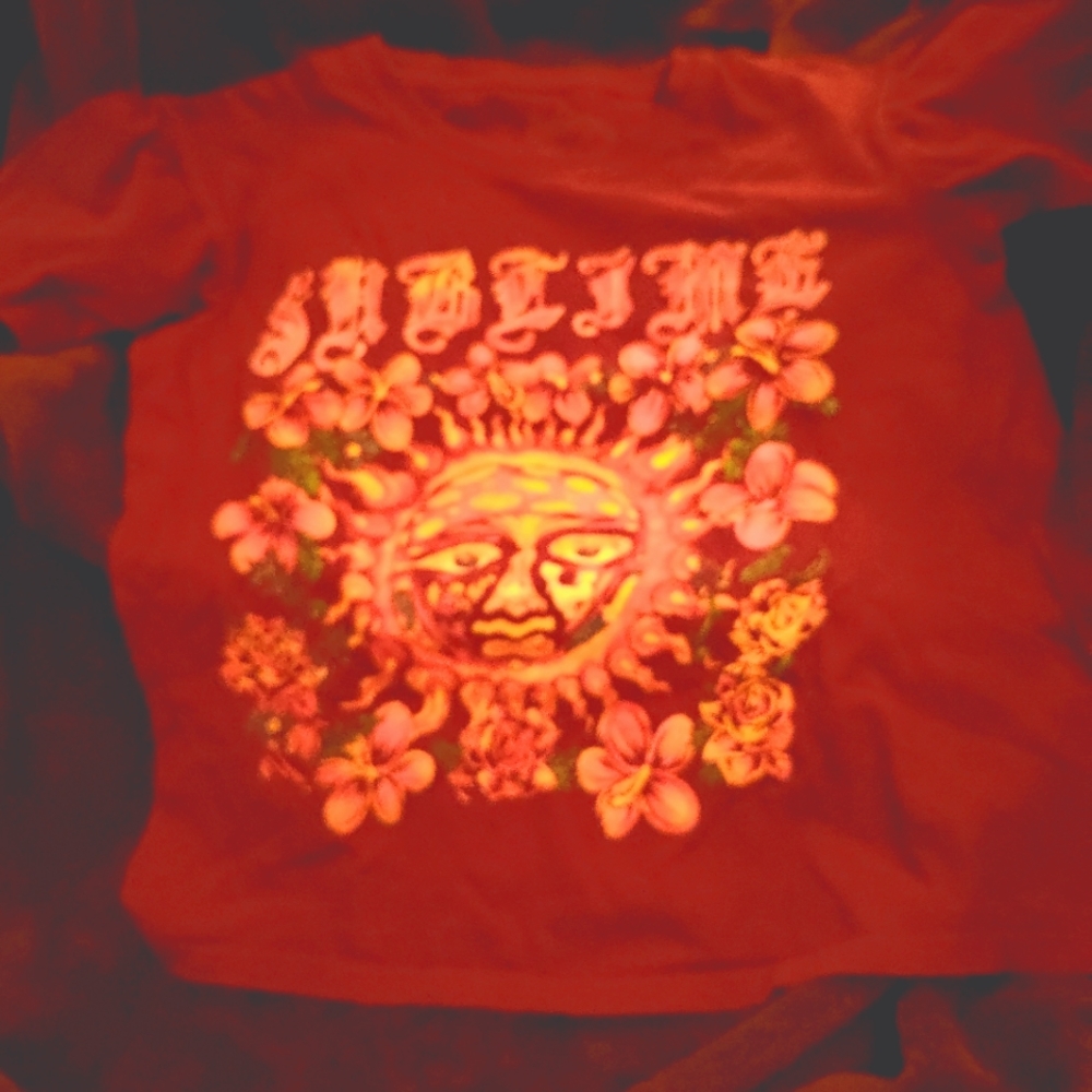 Sublime cropped tee